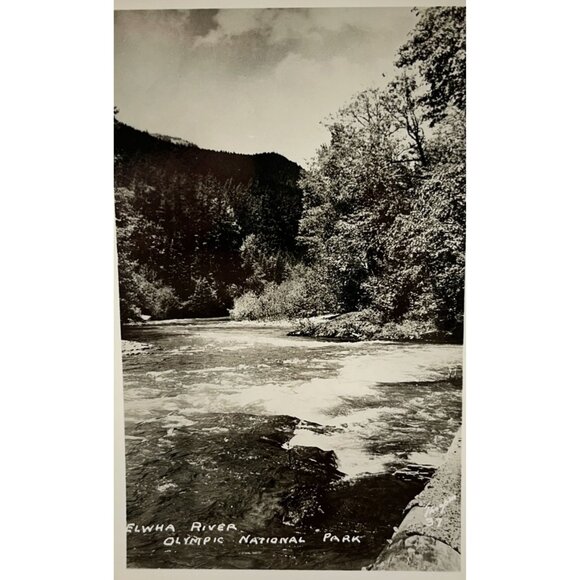 Elwha River RPPC Postcard Vintage Port Angeles WA Olympic National Park - Picture 6 of 6